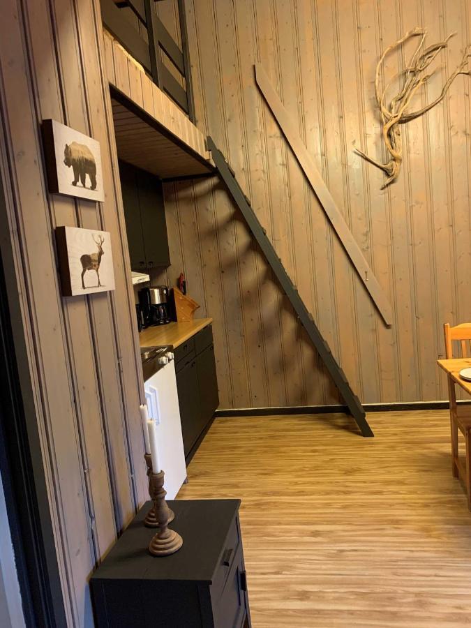 Enok Hytter & Resort Liagardane 外观 照片